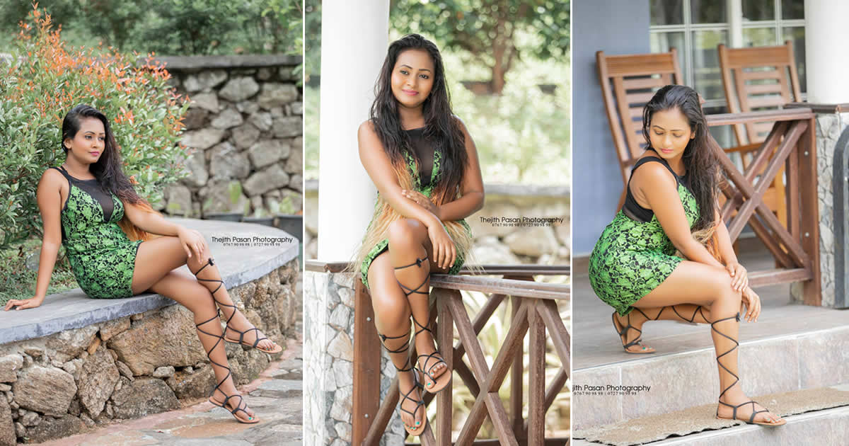 Tani Hamer