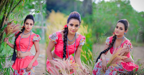 Nisadhi Kariyawasam