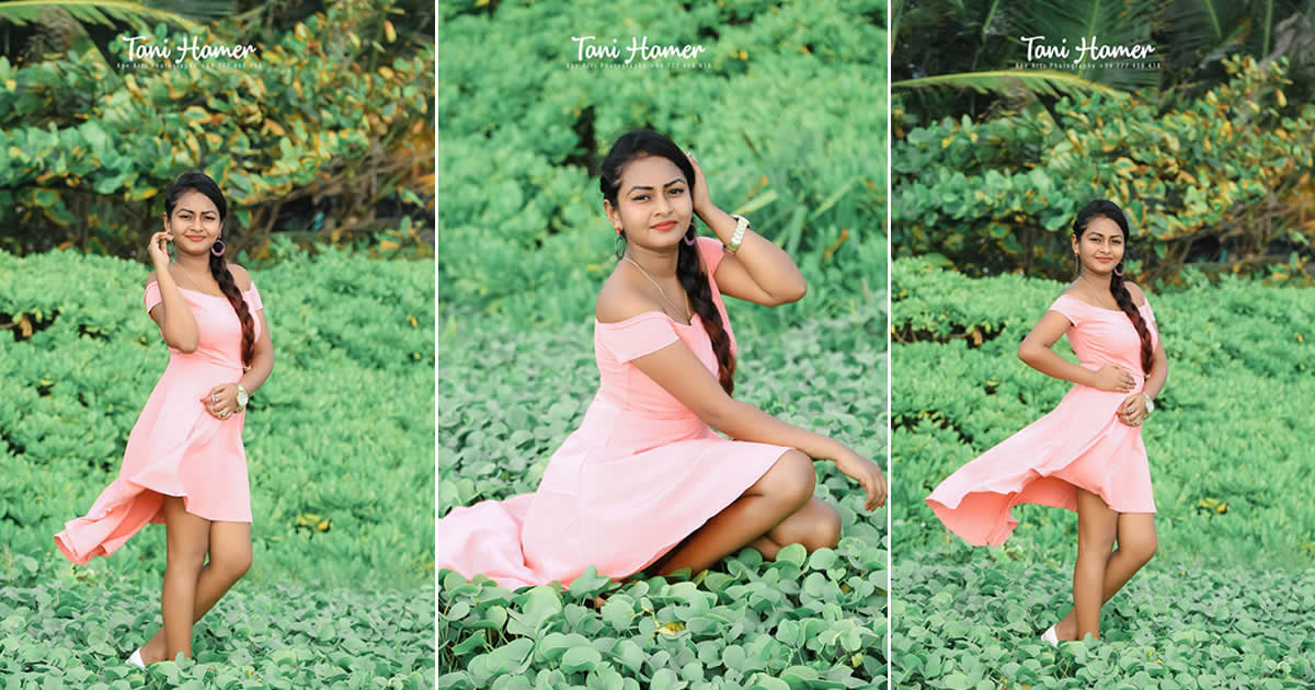 Tani Hamer